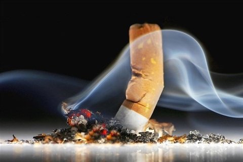 فیلتر سیگار سه هزار ماده خطرناک دارد